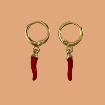 BOUCLES D'OREILLES GOCHU -...